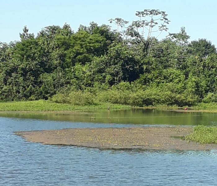 DIA MUNDIAL DO MEIO AMBIENTE – UMA VISÃO PESSOAL