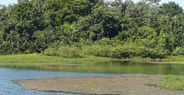 DIA MUNDIAL DO MEIO AMBIENTE – UMA VISÃO PESSOAL